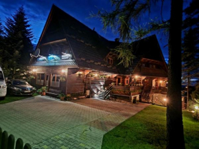 Bukovina Concept Mountain